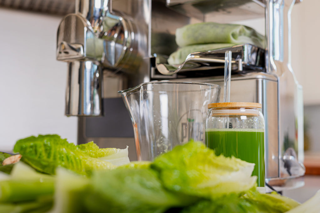 Hydraulic Cold-Press Juicers