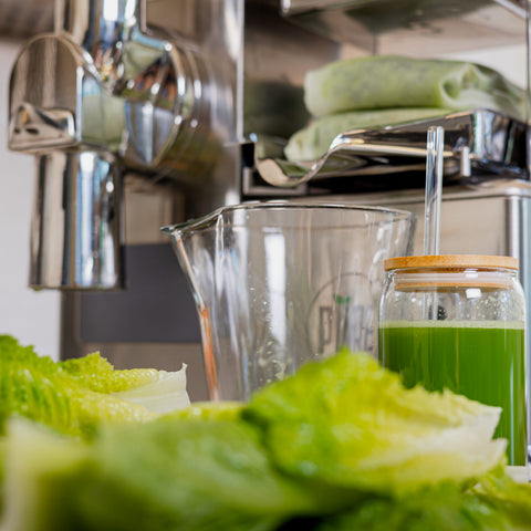 Hydraulic Cold-Press Juicers